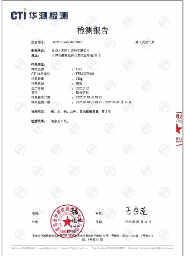 Certificate 06