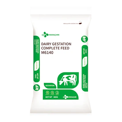 Alimentation complète pour la gestation vache laitière